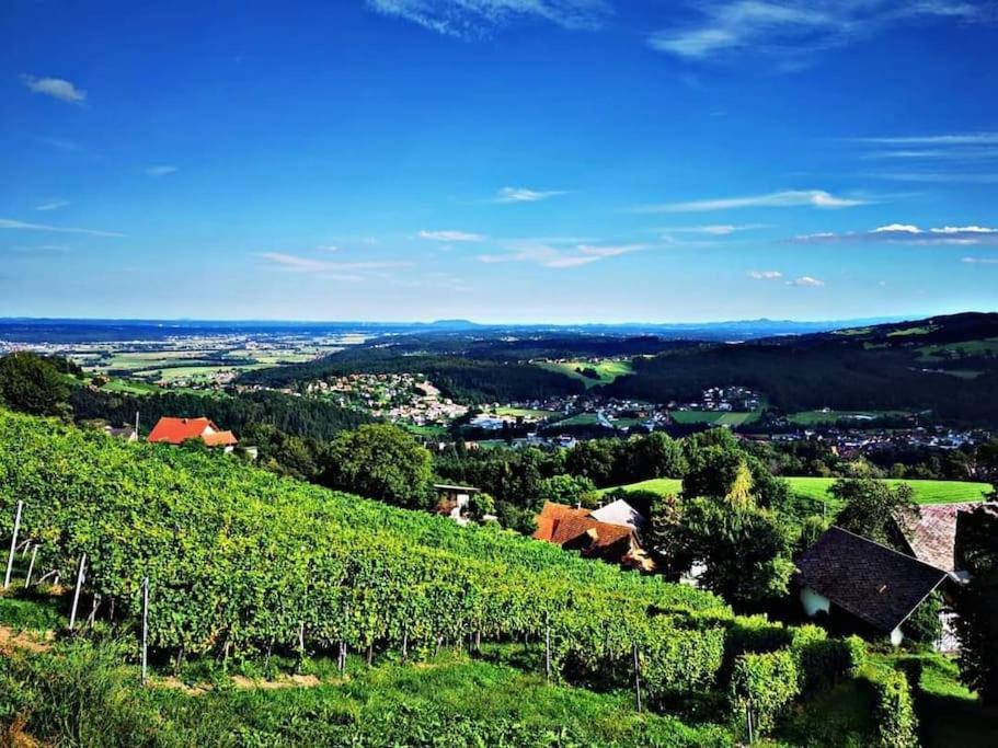 Wiednermichl - Urlaub In Den Weinbergen Krottendorf bei Ligist Exteriör bild